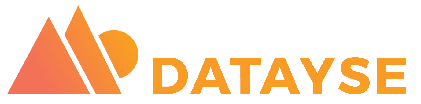 Datayse Logo